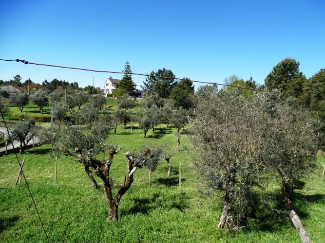 Image No.27-3 Bed Village House for sale