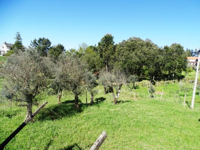 Image No.29-3 Bed Village House for sale