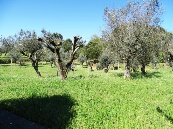 Image No.46-3 Bed Village House for sale