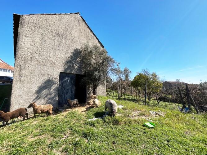 Image No.36-4 Bed Farmhouse for sale