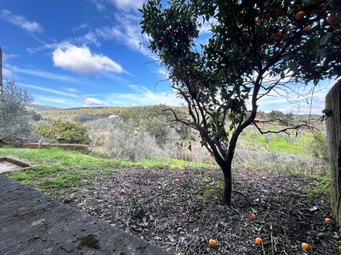 Image No.25-3 Bed Village House for sale