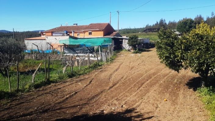 Image No.29-4 Bed Farmhouse for sale