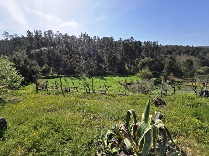 Image No.5-3 Bed Farmhouse for sale