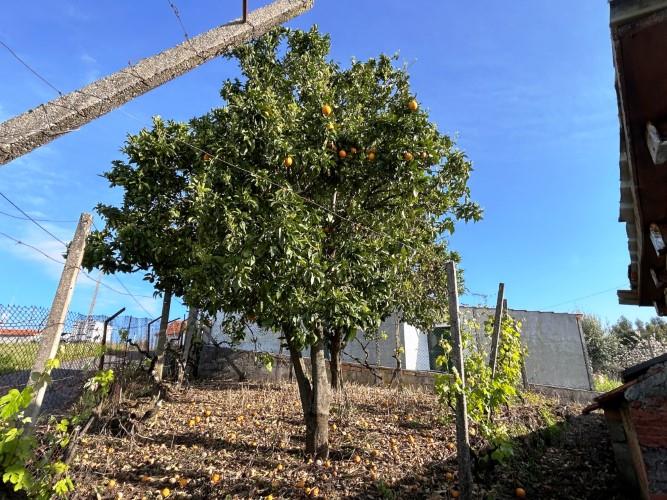 Image No.23-2 Bed Village House for sale