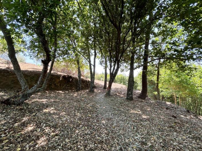 Image No.17-Country House for sale