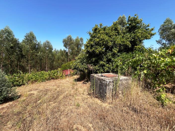 Image No.9-Farmhouse for sale