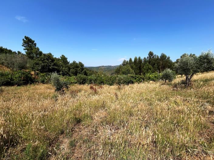 Image No.12-Farmhouse for sale