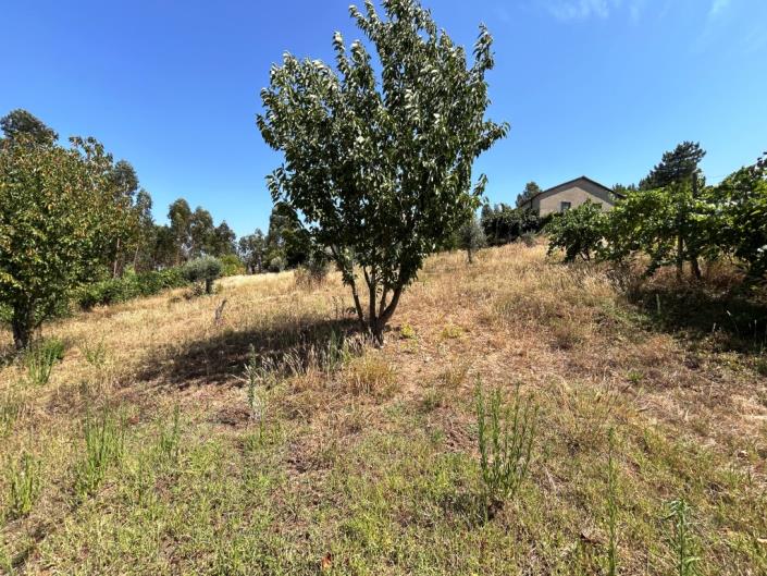 Image No.13-Farmhouse for sale