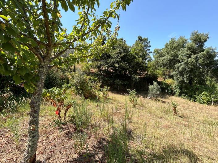 Image No.15-Farmhouse for sale