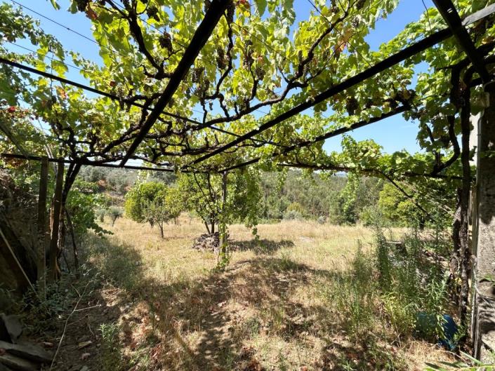 Image No.16-Farmhouse for sale