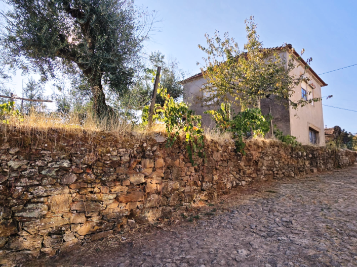 Image No.11-Village House for sale