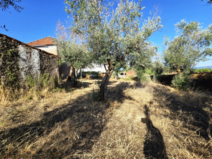 Image No.12-Village House for sale