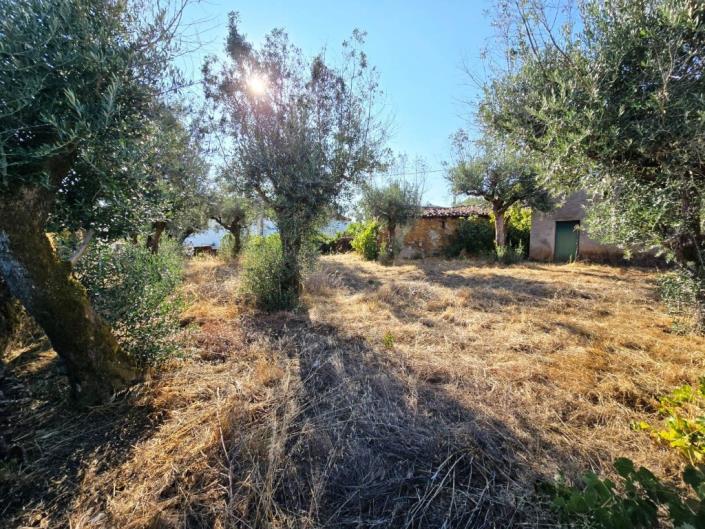 Image No.20-Village House for sale