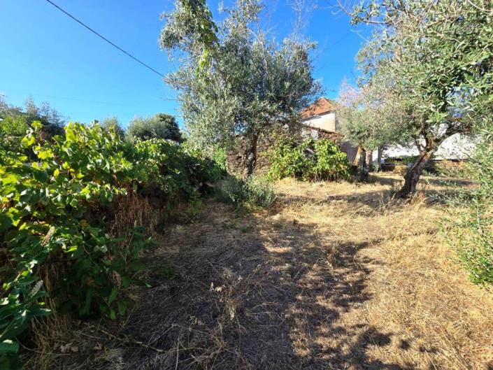 Image No.22-Village House for sale