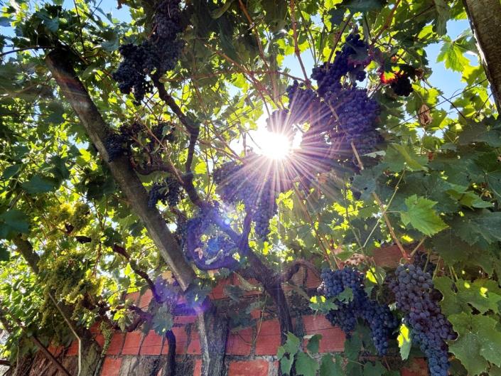 Image No.30-3 Bed Village House for sale