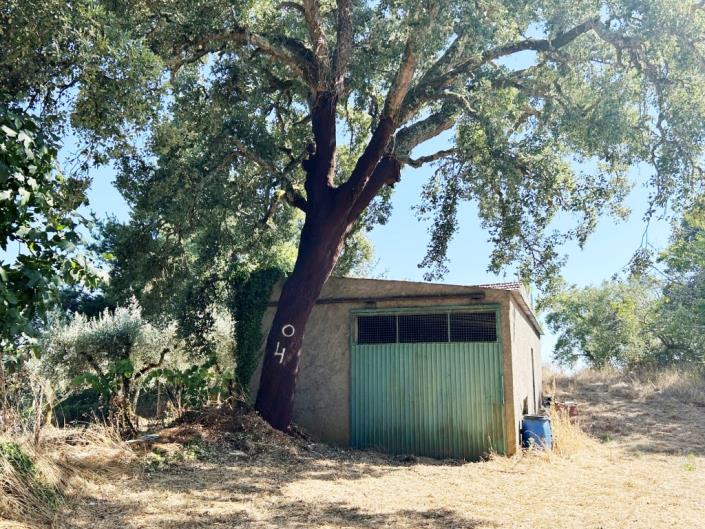 Image No.36-3 Bed Village House for sale