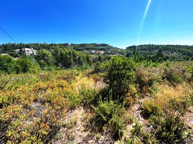 Image No.4-Land for sale