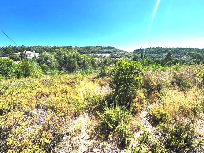 Image No.9-Land for sale