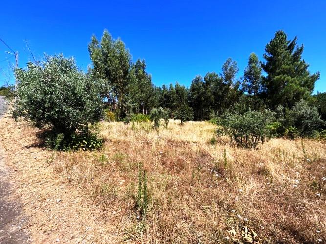 Image No.11-Land for sale