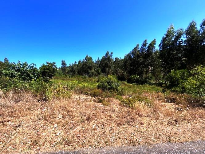 Image No.14-Land for sale