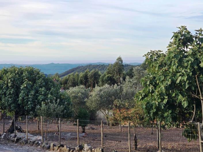 Image No.1-Land for sale