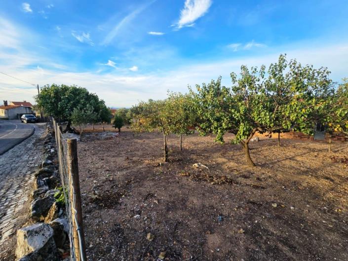 Image No.6-Land for sale