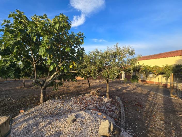 Image No.9-Land for sale