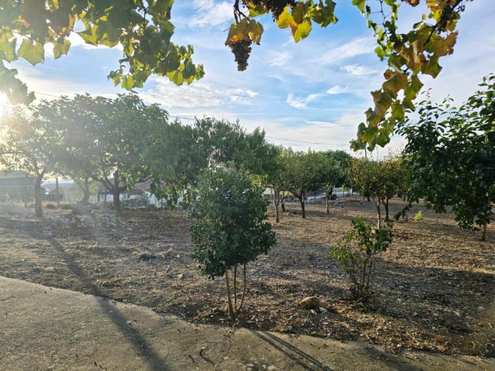 Image No.24-Land for sale