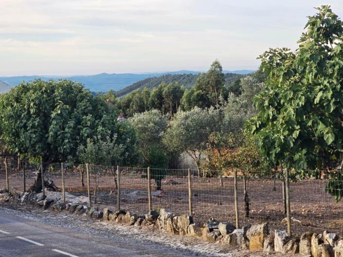 Image No.27-Land for sale