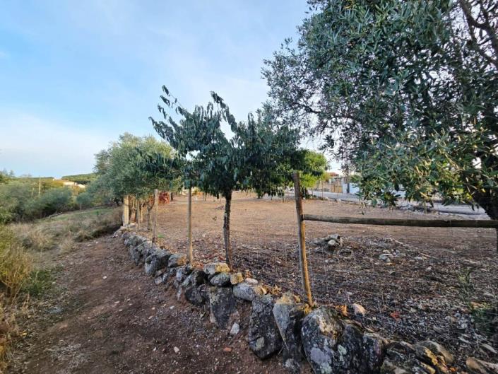 Image No.35-Land for sale