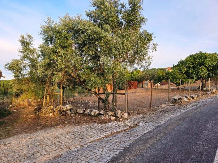 Image No.36-Land for sale