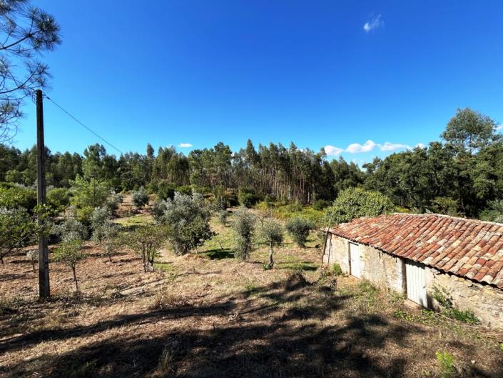 Image No.2-Land for sale