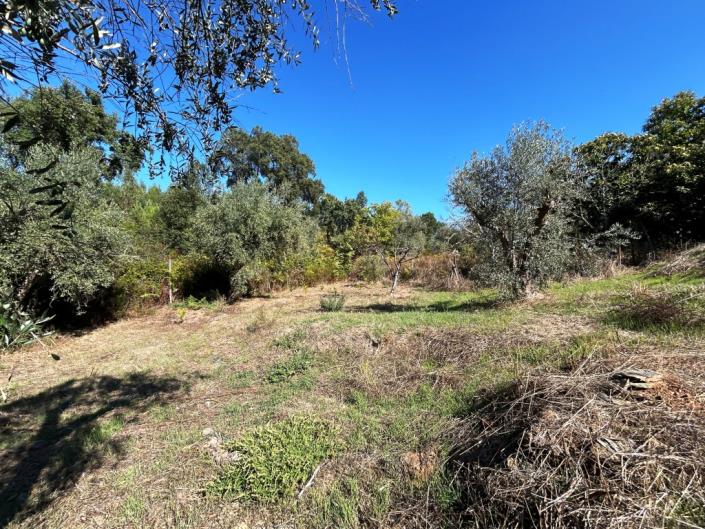 Image No.17-Land for sale