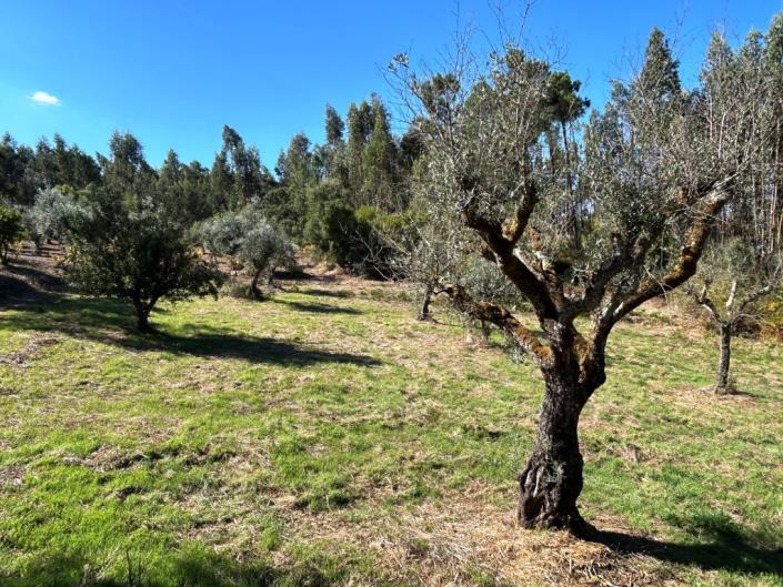 Image No.18-Land for sale