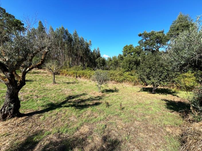 Image No.19-Land for sale