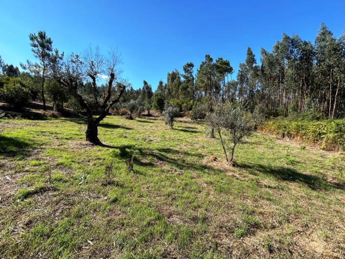 Image No.22-Land for sale