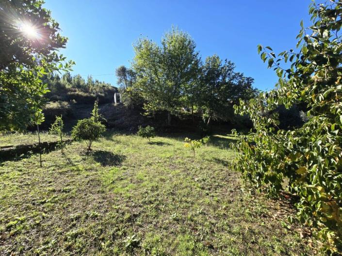 Image No.36-1 Bed Farmhouse for sale