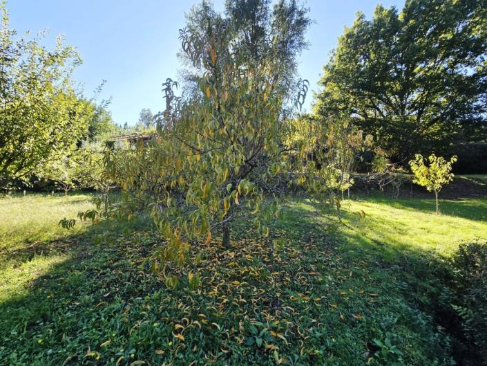 Image No.40-1 Bed Farmhouse for sale