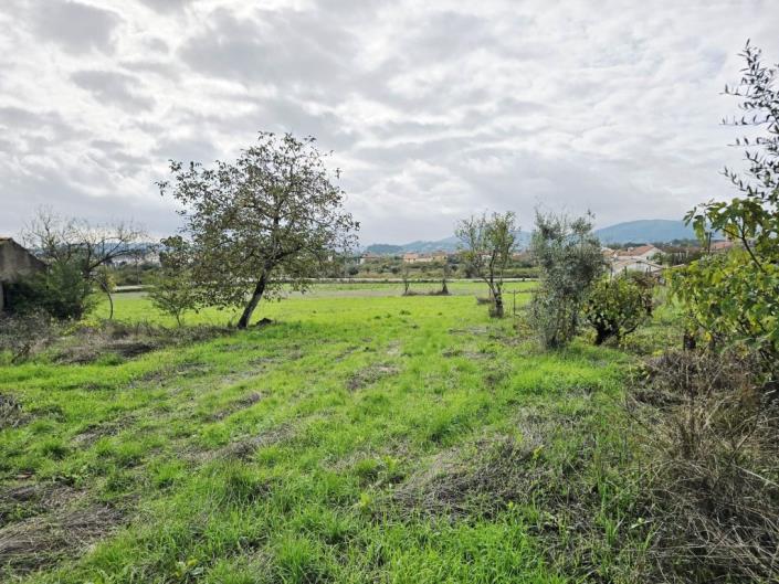 Image No.13-Plot for sale