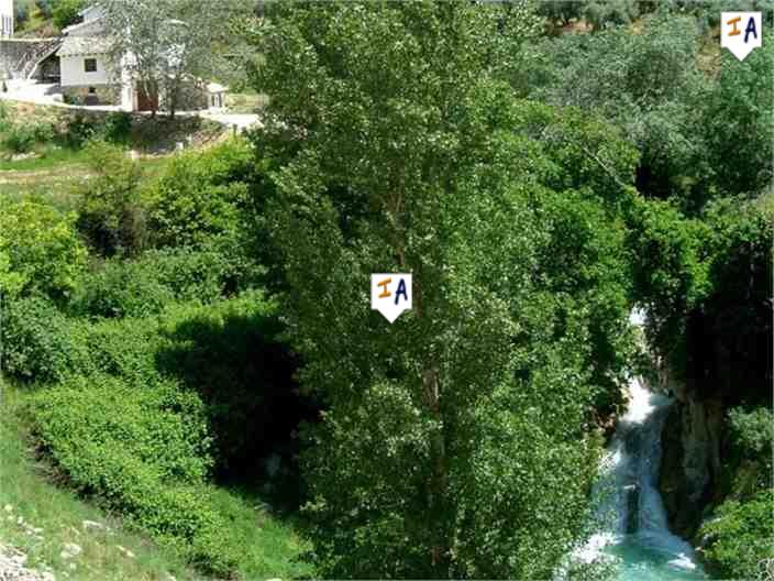 Image No.8-11 Bed Farmhouse for sale