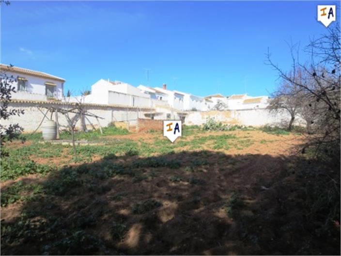 Image No.3-4 Bed House for sale