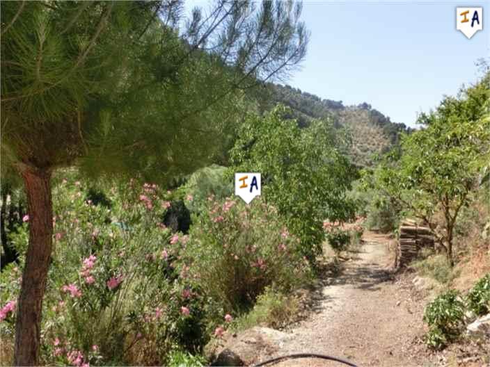 Image No.6-2 Bed Farmhouse for sale