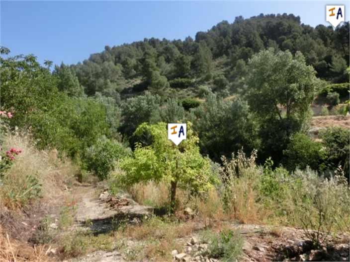 Image No.7-2 Bed Farmhouse for sale