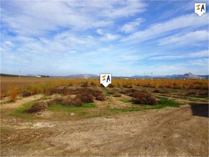 Image No.11-5 Bed Farmhouse for sale