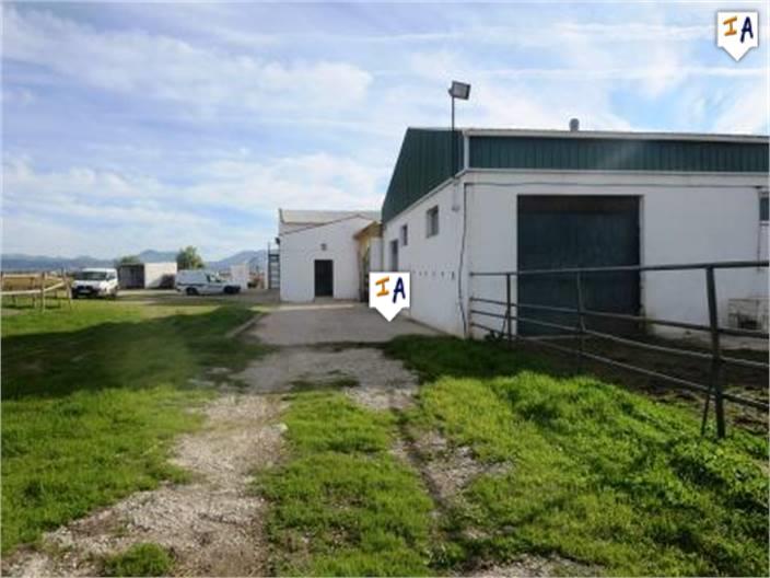 Image No.4-5 Bed Farmhouse for sale