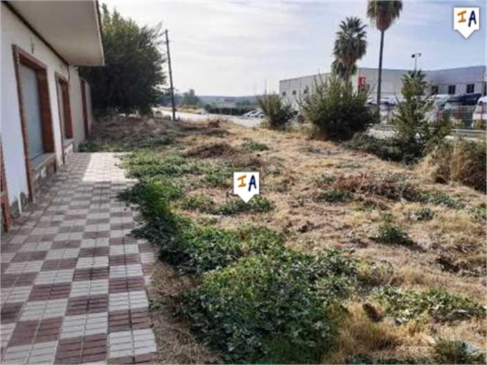 Image No.6-5 Bed Commercial for sale