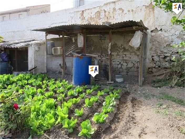 Image No.4-Land for sale