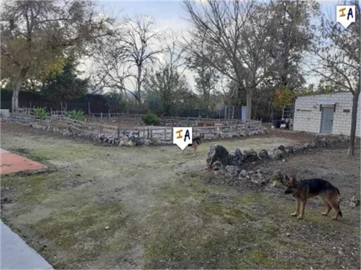 Image No.11-5 Bed House for sale