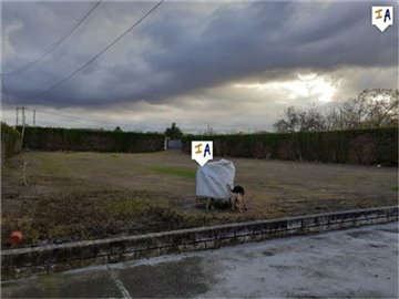 ch1989