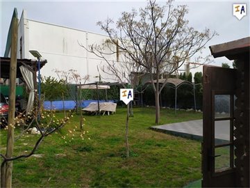 ch21314